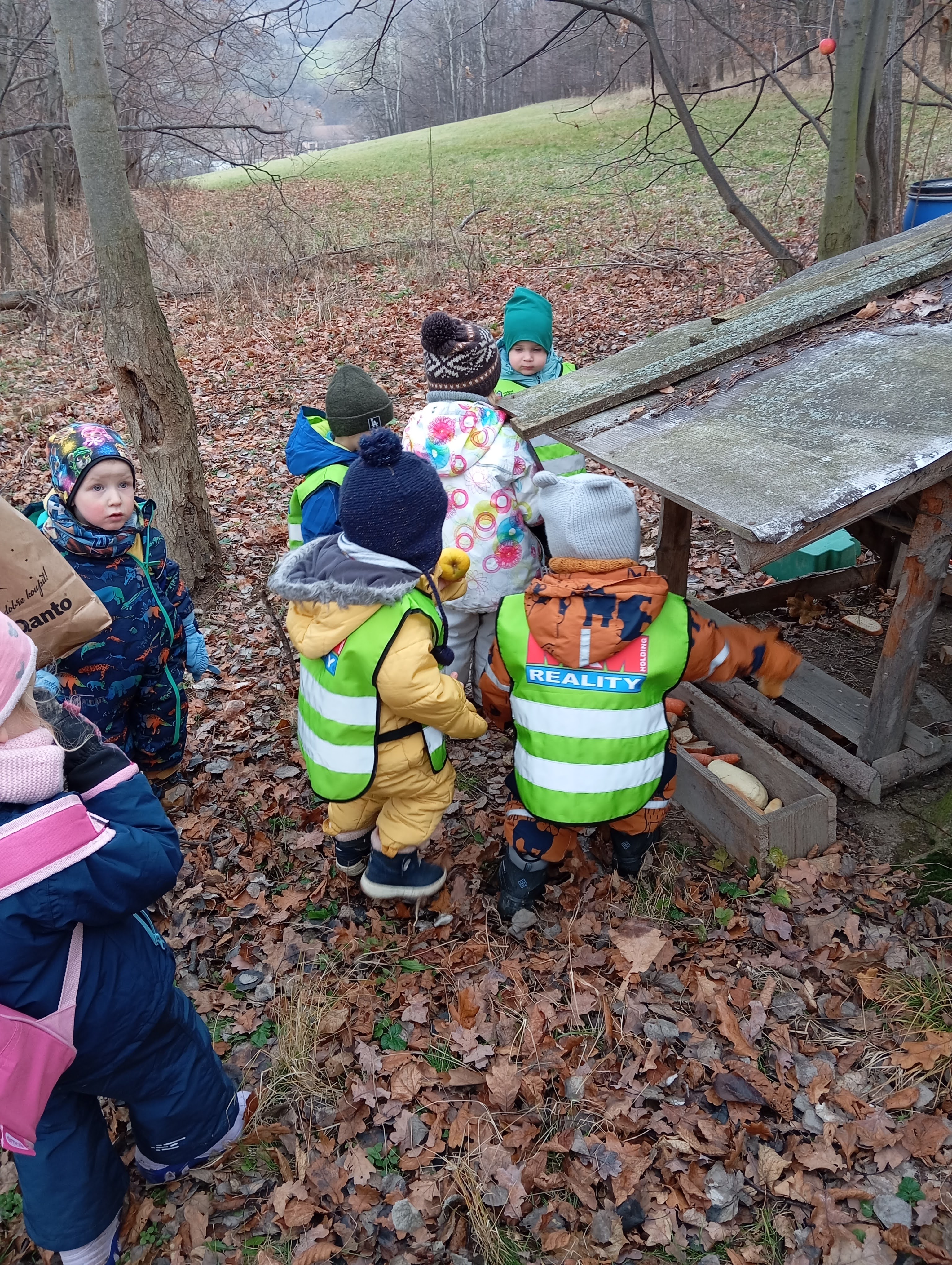 MŠ - Krmení zvířátek v lese